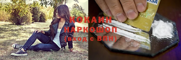 амф Магас