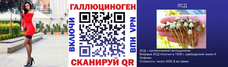 Галлюциногенные грибы Cubensis  Купить где  Нефтеюганск 